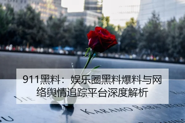 911黑料：娱乐圈黑料爆料与网络舆情追踪平台深度解析